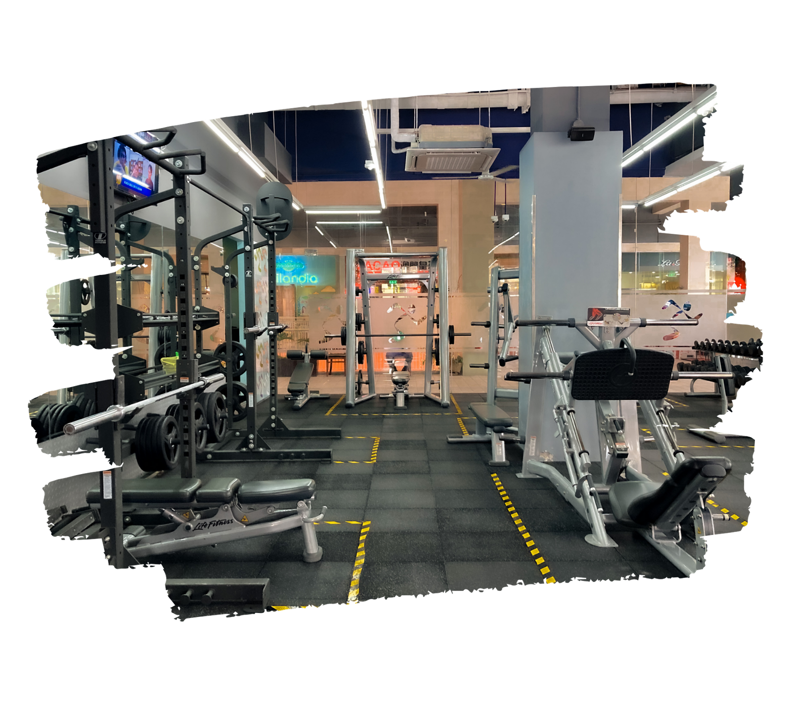 Bulk SMS Service for Gyms & Fitness